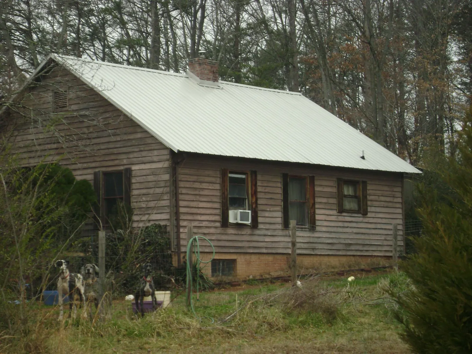 White metal roof on an old wood sided farmhouse, from a Asphalt Shingle Roof Repair job in La Porte City